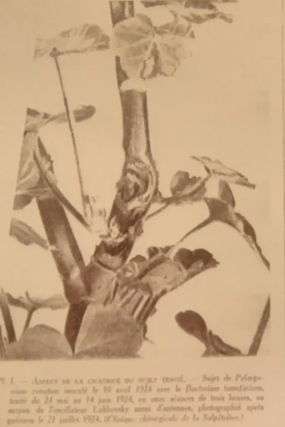 Design sans titre 2024 09 09T045348.047