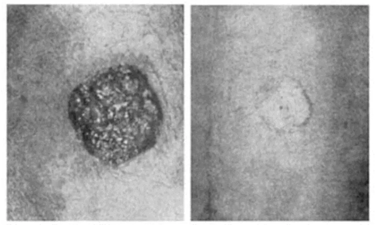 Design sans titre 2024 09 09T055051.175