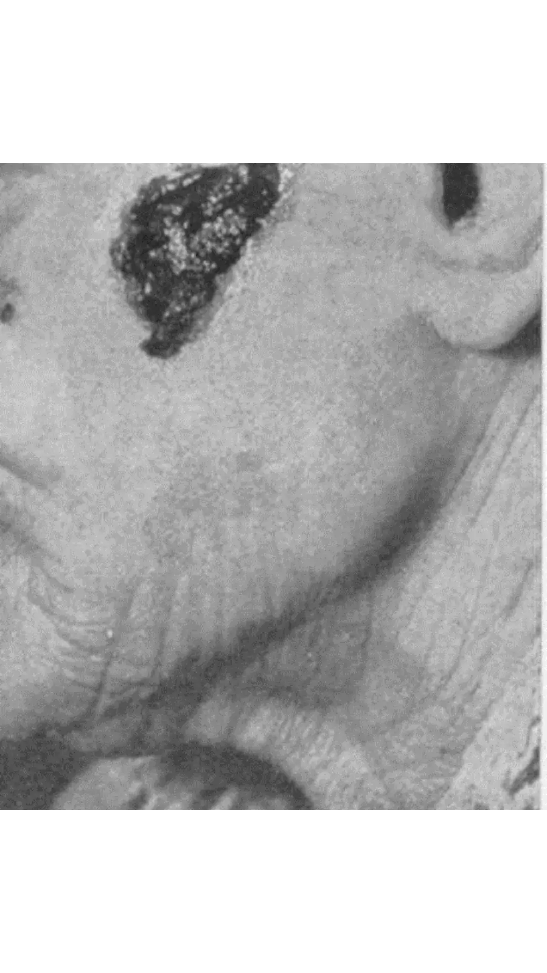 Design sans titre 2024 09 09T033604.670