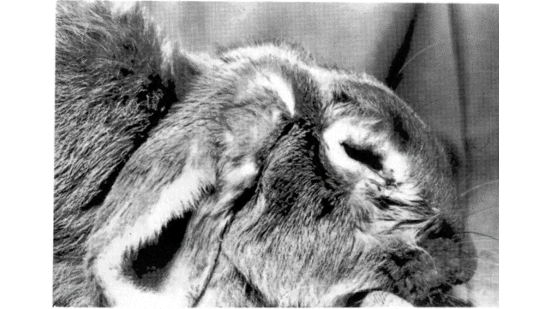 Design sans titre 2024 09 09T035057.430