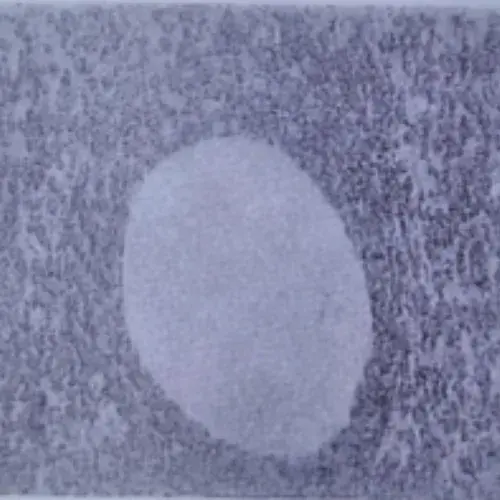 Design sans titre 2024 09 09T035527.712