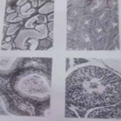 Design sans titre 2024 09 09T035543.840