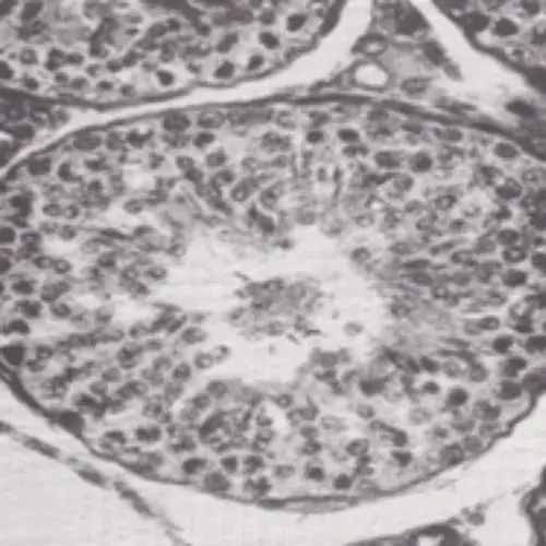 Design sans titre 2024 09 09T035553.218